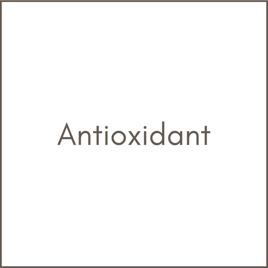 Antioxidant Facial - Revita Skin Clinic